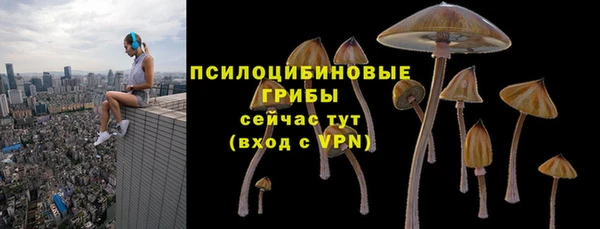 молекула духа Нея